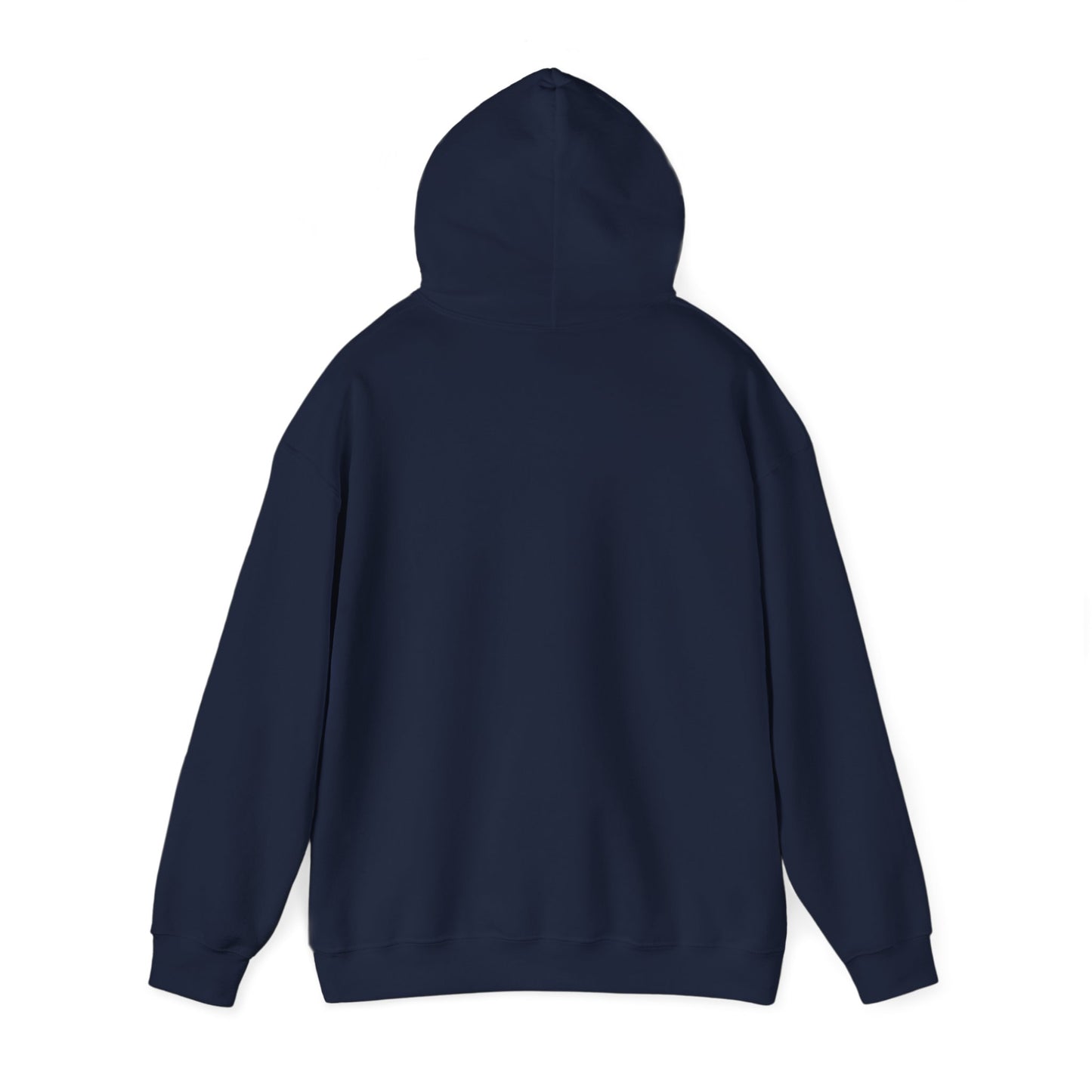 Sunset DMB Hoodie