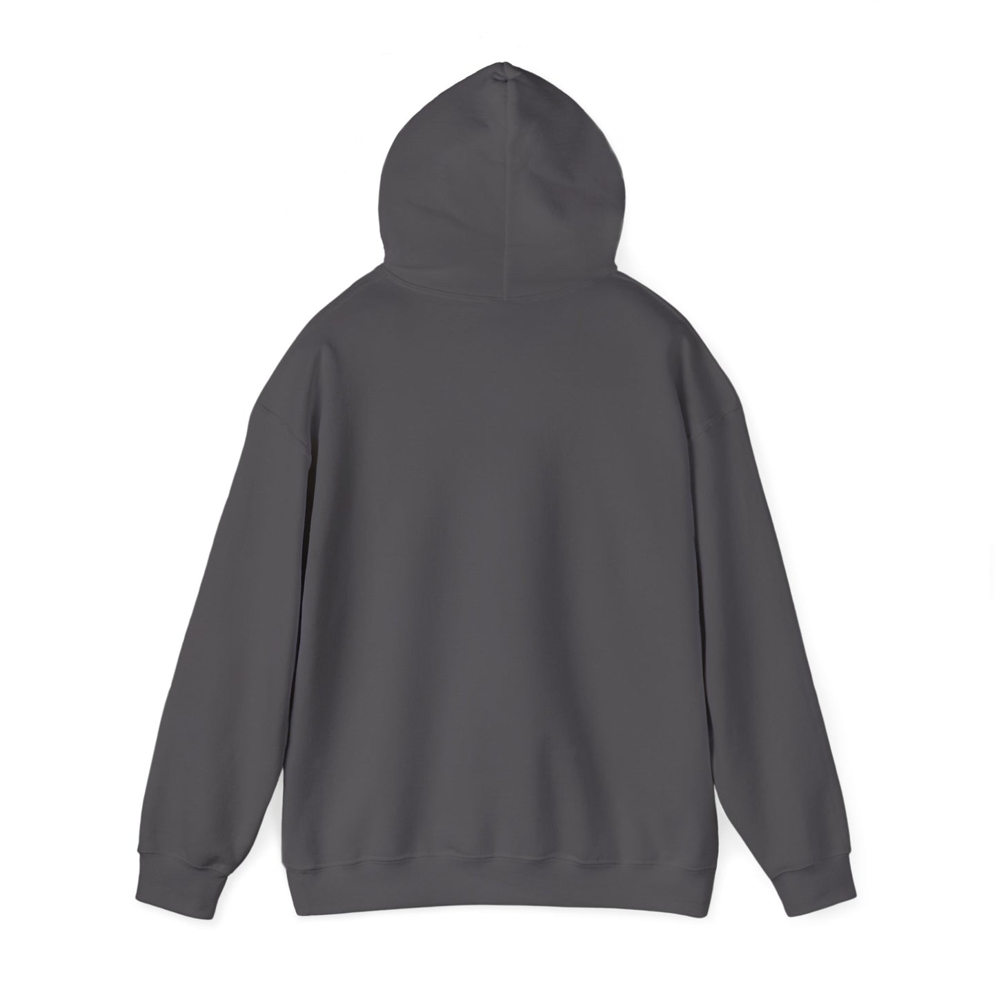 Sunset DMB Hoodie